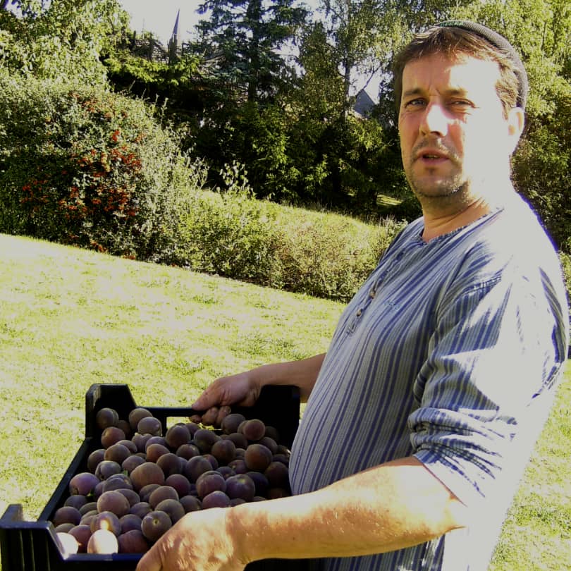 Weinbergpfirsich-Bauer Thomas Pitsch